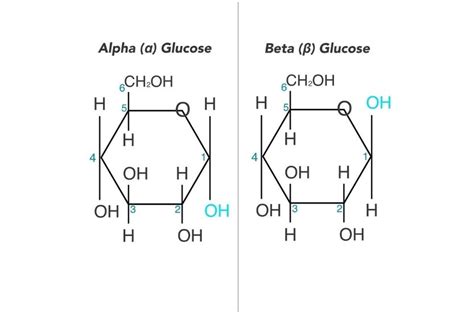 Alpha Vs Beta Glucose