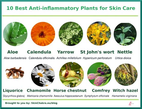 Anti Inflammatory Products For Skin