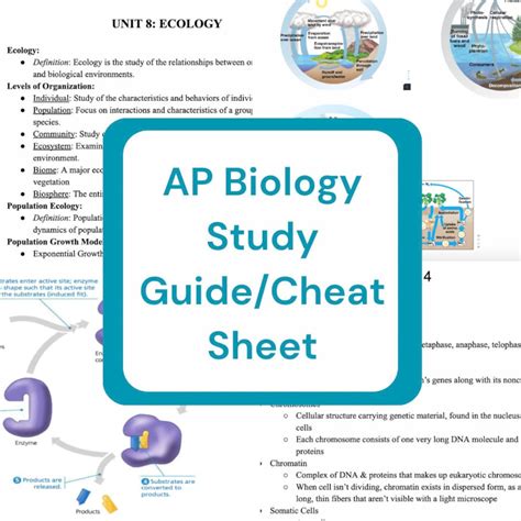 Biology Study Guide
