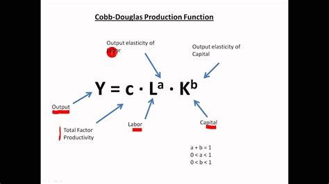 Cobb Douglas Function