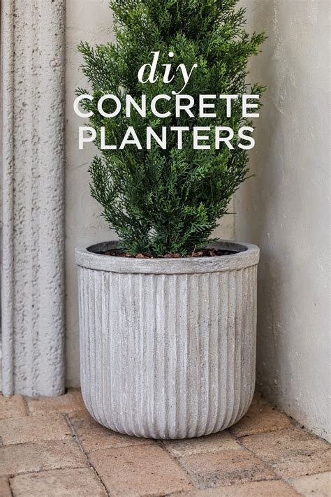 Concrete Planter