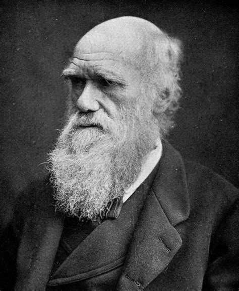 Darwin F I