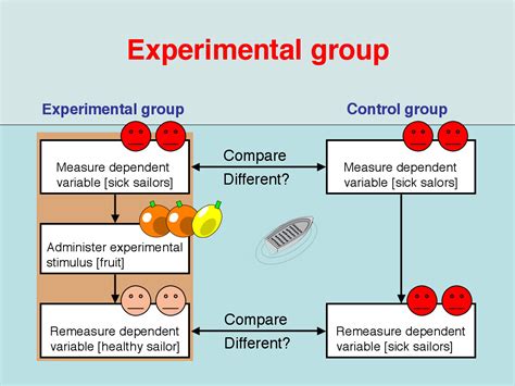 Experimental Group Meaning