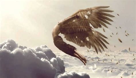 Flew Too Close To The Sun