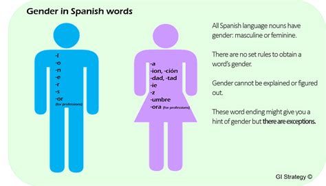 Gender In Spanish Language