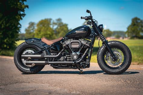 Harley Cruiser
