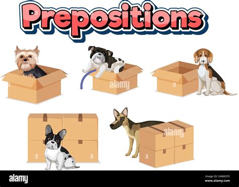 Is 'This' A Prepostion