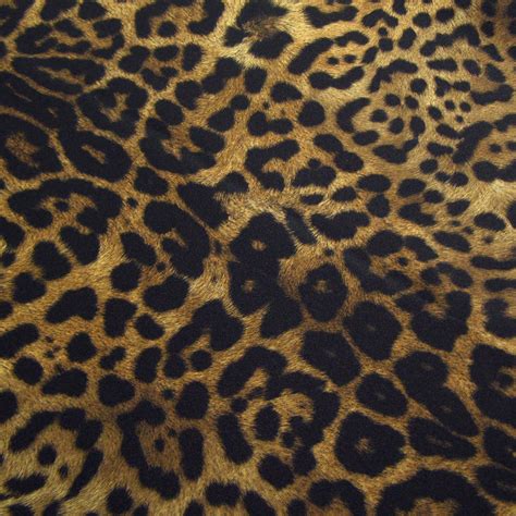 Jaguar Print