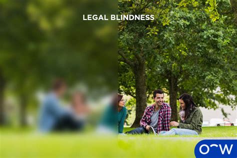 Legally Blind Vision