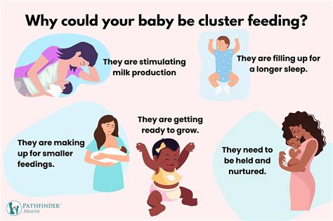 Newborn Cluster Feeding