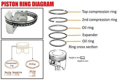 Piston Ring