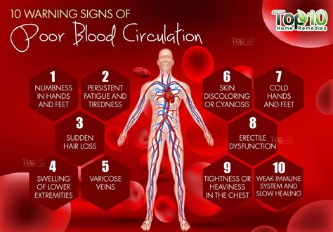 Poor Circulation Symptoms