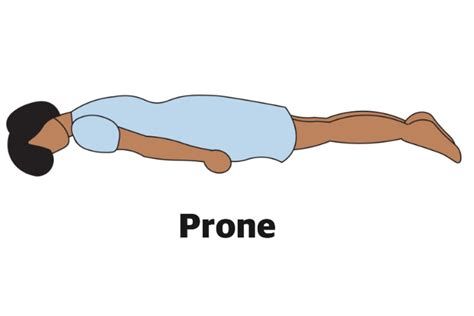 Prone Position Definition