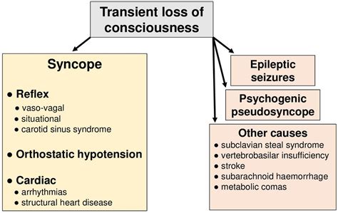 Reflex Syncope Supportive Therapy