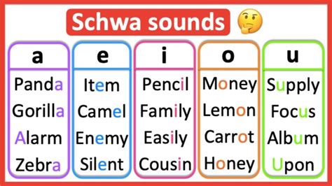 Schwa Sound Words