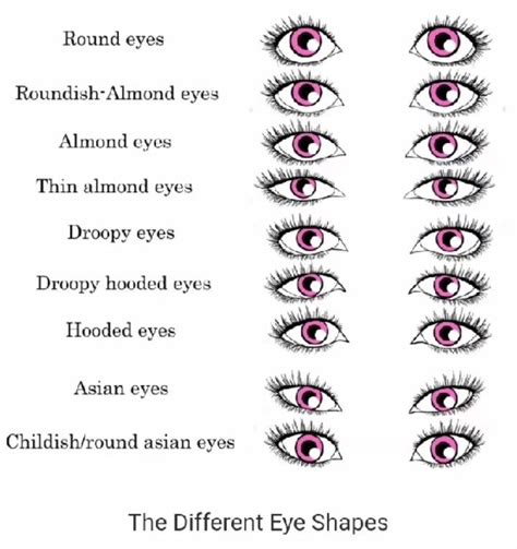 Shape Of Eyes