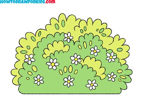 Shrub Drawing