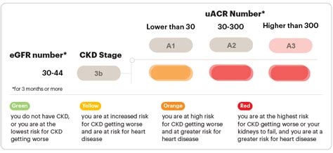 Stage 3B Kidney Disease