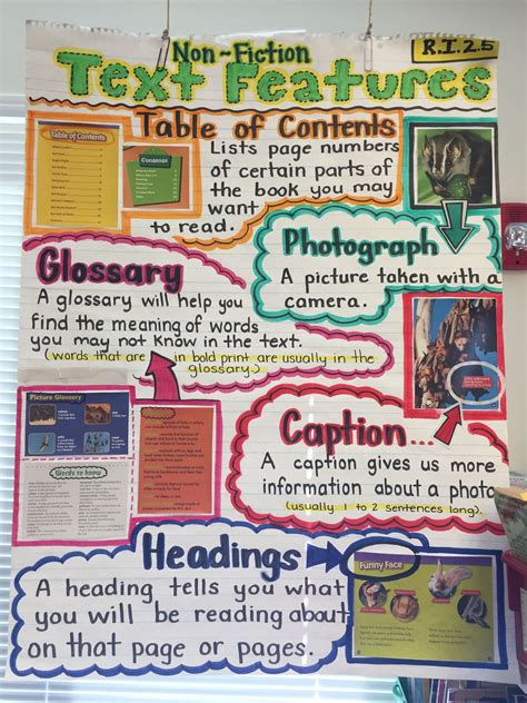Text Feature Anchor Chart
