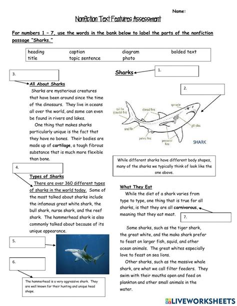 Text Features Worksheet