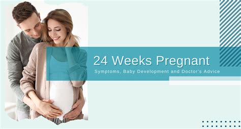 Twenty Four Weeks