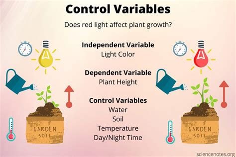 What Is A Control And A Variable