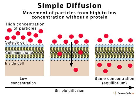 What Is Simple Diffusion